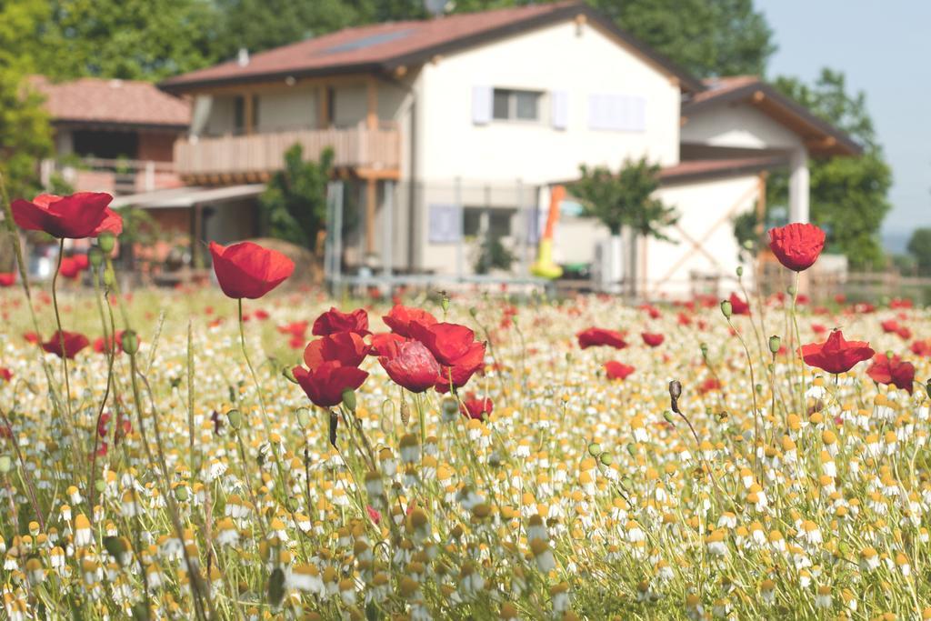 Comeback Stezzano Zewnętrze zdjęcie
